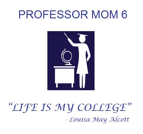 PROFESSOR MOM 6