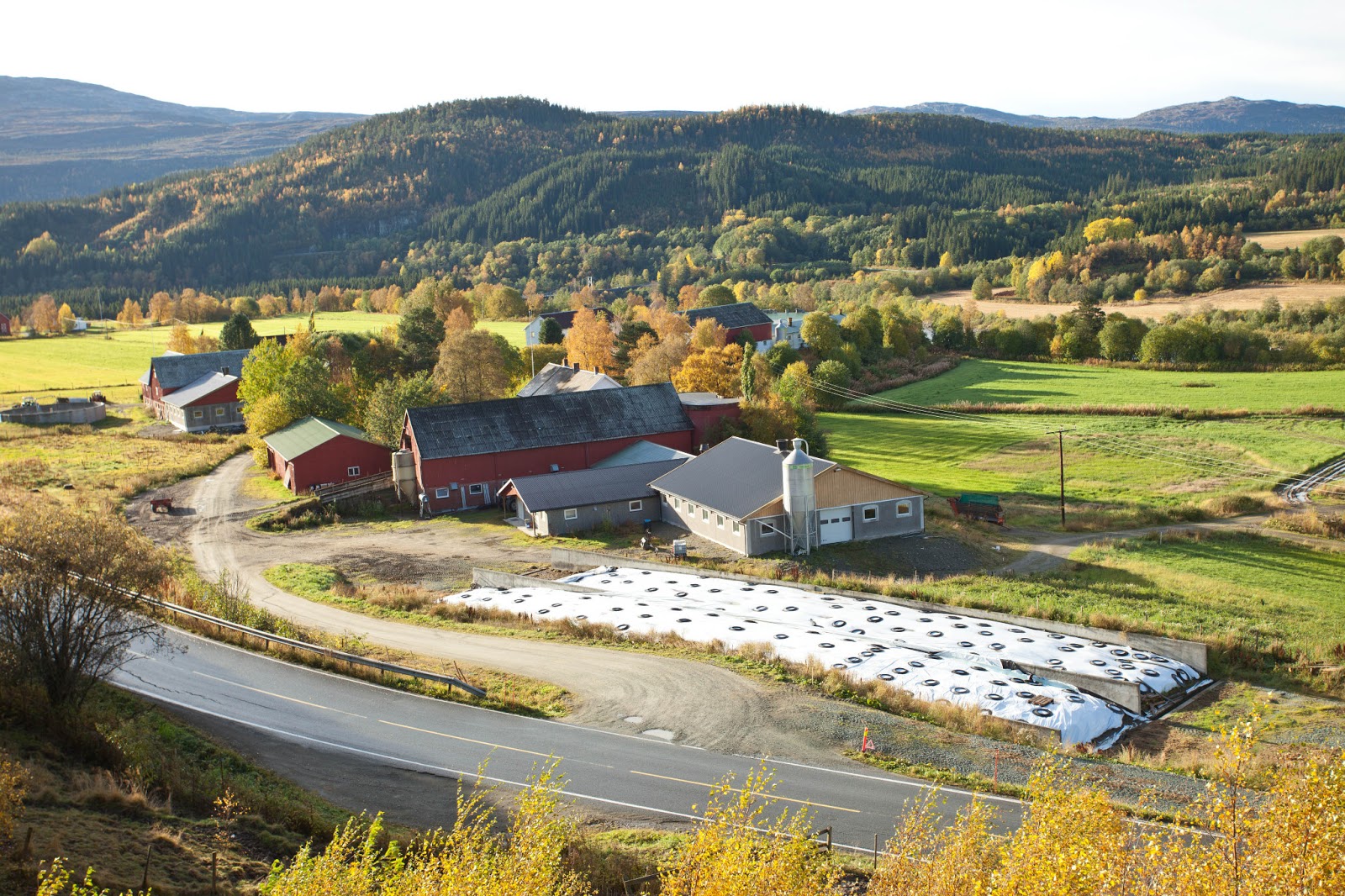 Veer in Frankrijk en Noorwegen De nieuwe boerderij van Sjaak Mocking