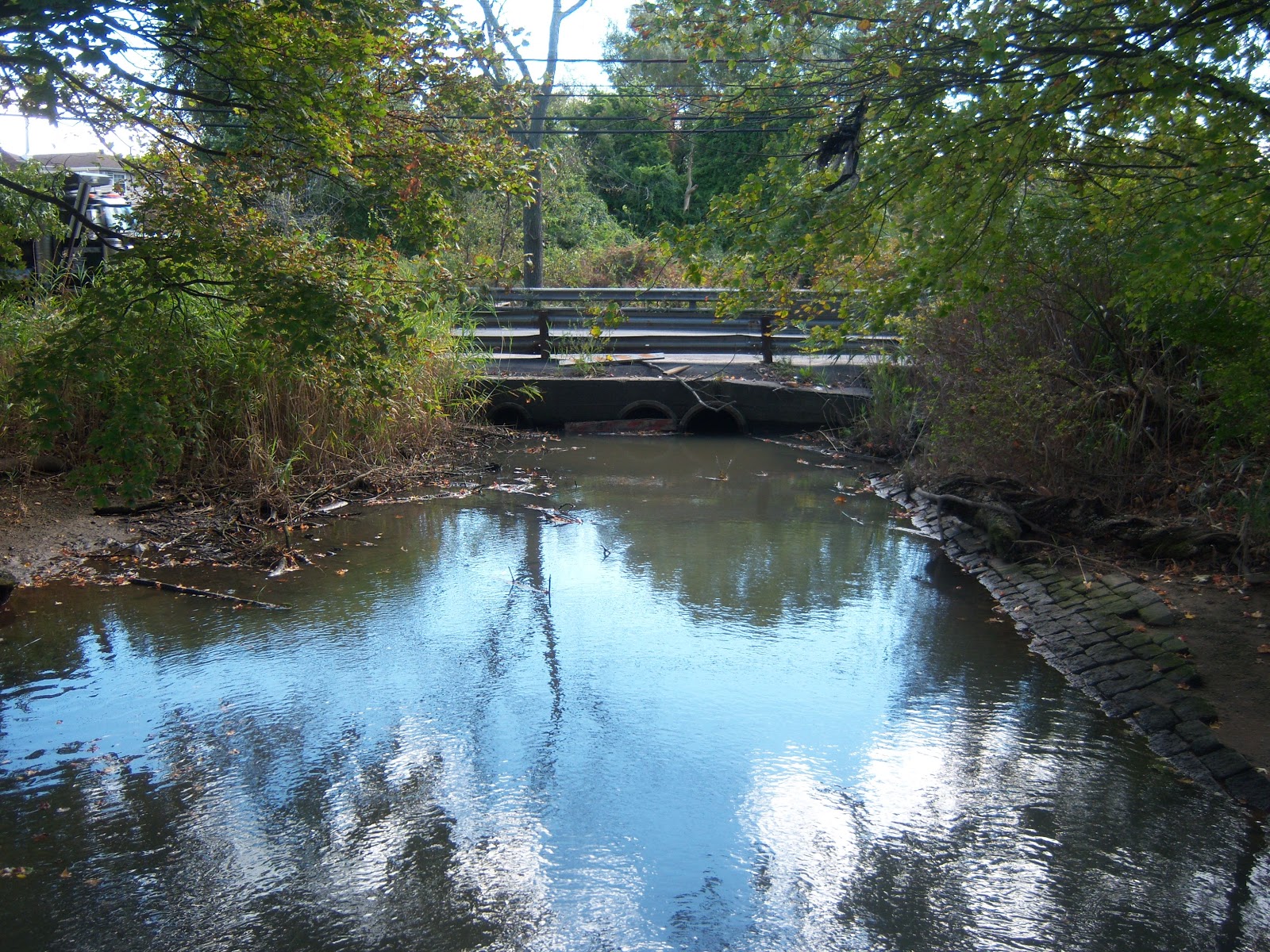 Long Distance Voyager Bridge of the Week 8287 Brookville Park