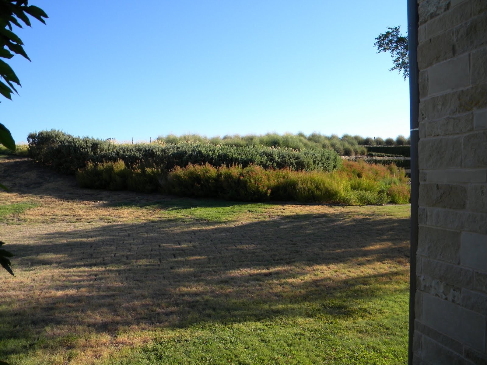 Road Berm