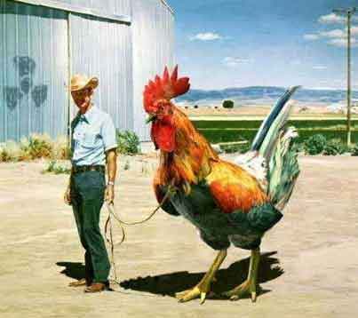Funny Animals: funny chicken