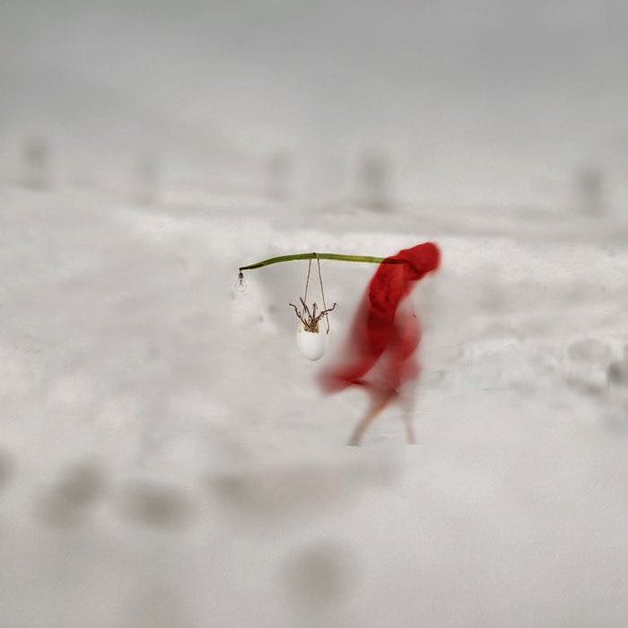 Mirjam+Appelhof+Tutt'Art@+(23)