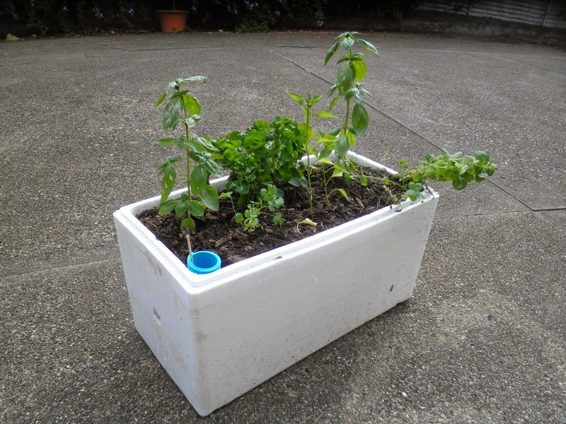 10 Top Sustainable Living Tips for Rentals 8 10 Top Sustainable Living Tips for Rentals