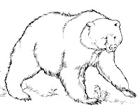 Planse De Colorat Pentru Copii Planse De Colorat Ursi