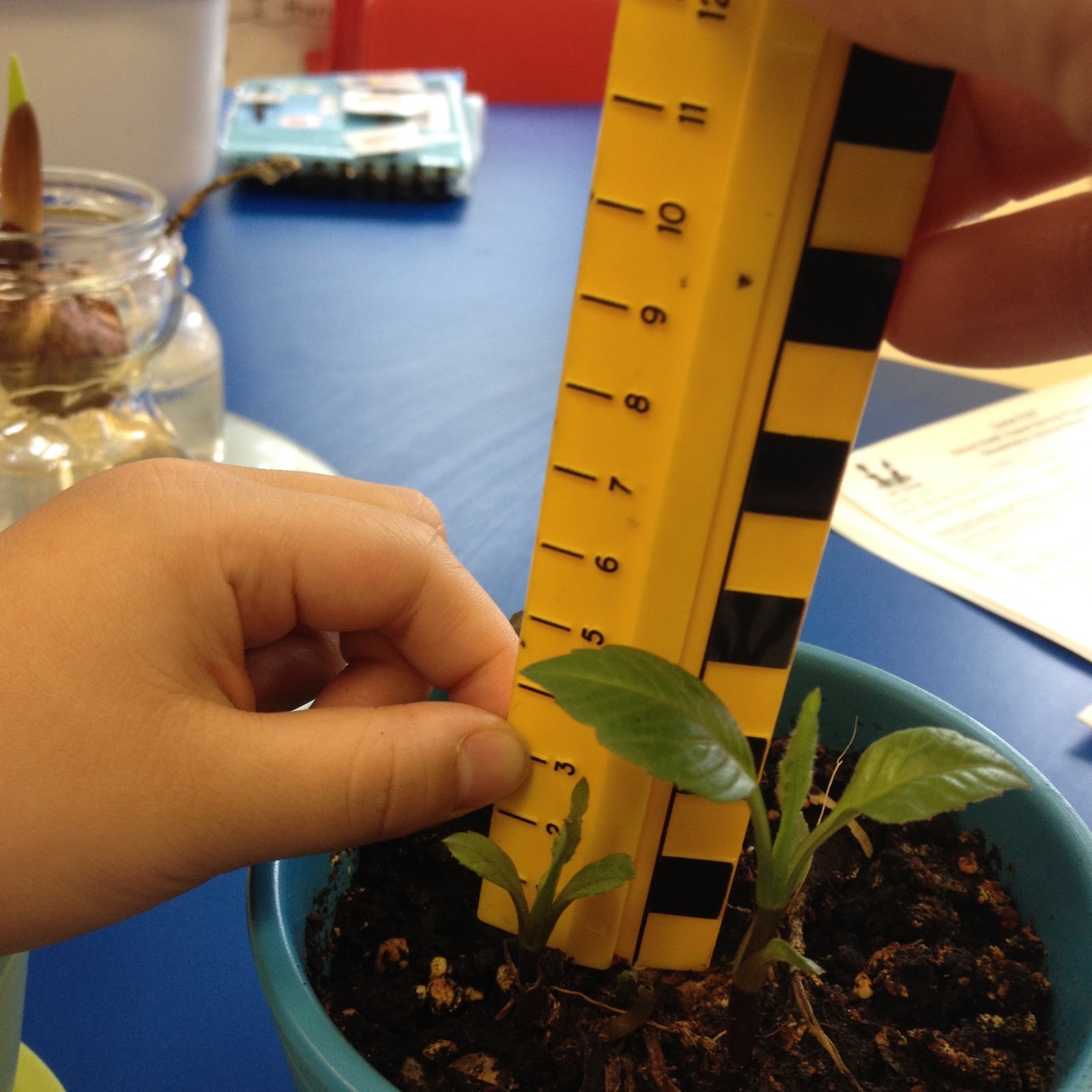 Beginning with Inquiry in Kindergarten Garden Creations