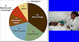 Surveilans Kematian Ibu