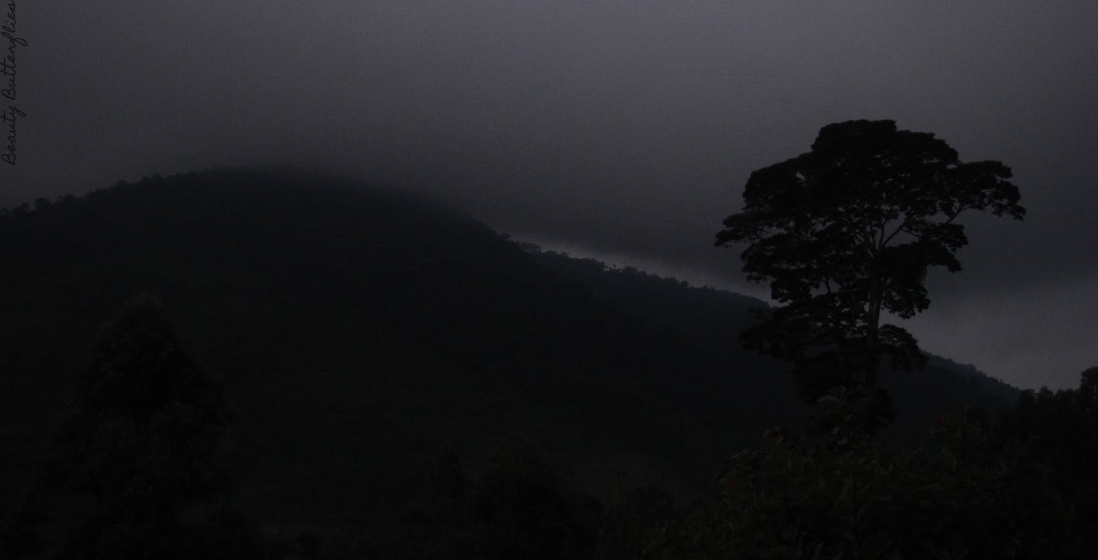 Unique Uganda Iii Gorilla Trekking Once In A Lifetime