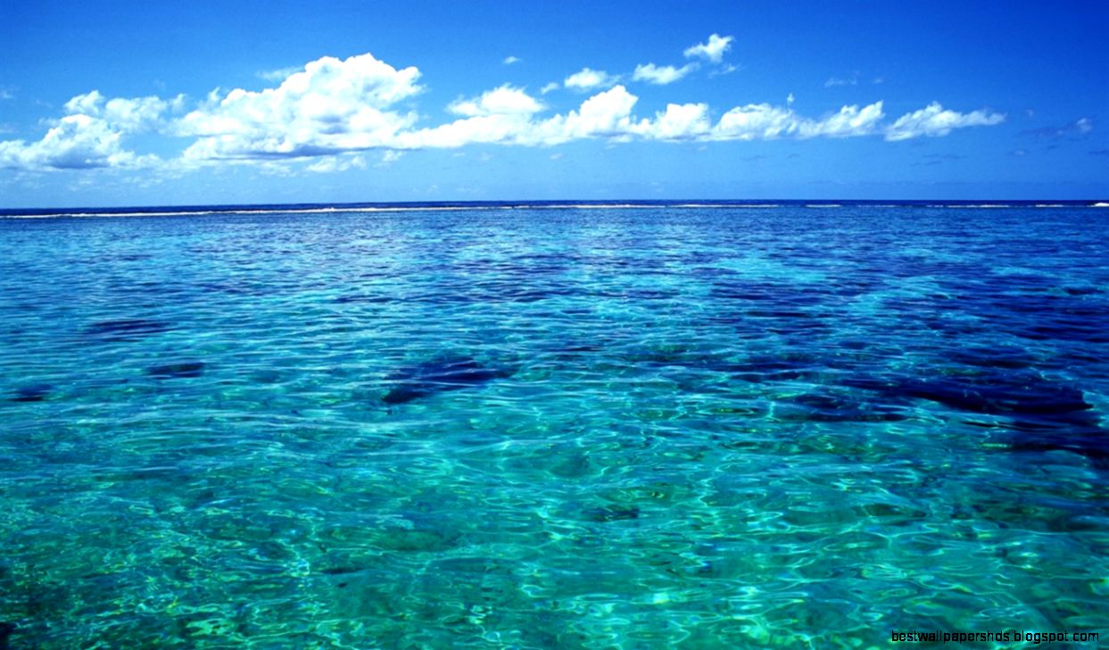 Crystal Clear Ocean Water Crystal Clear Ocean Water