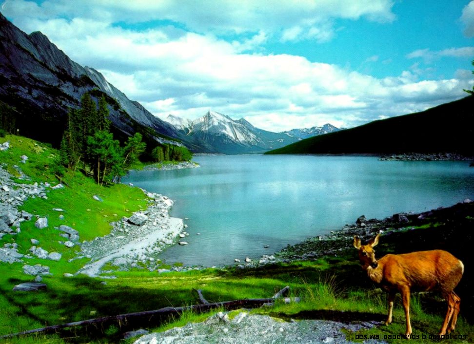Beautiful Nature Wallpaper Download Beautiful Nature Wallpaper Download