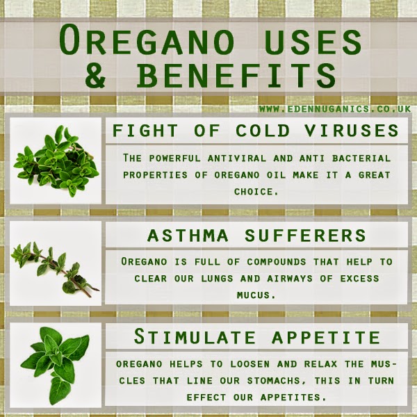 Eden Nuganics Blog The health benefits and uses of oregano