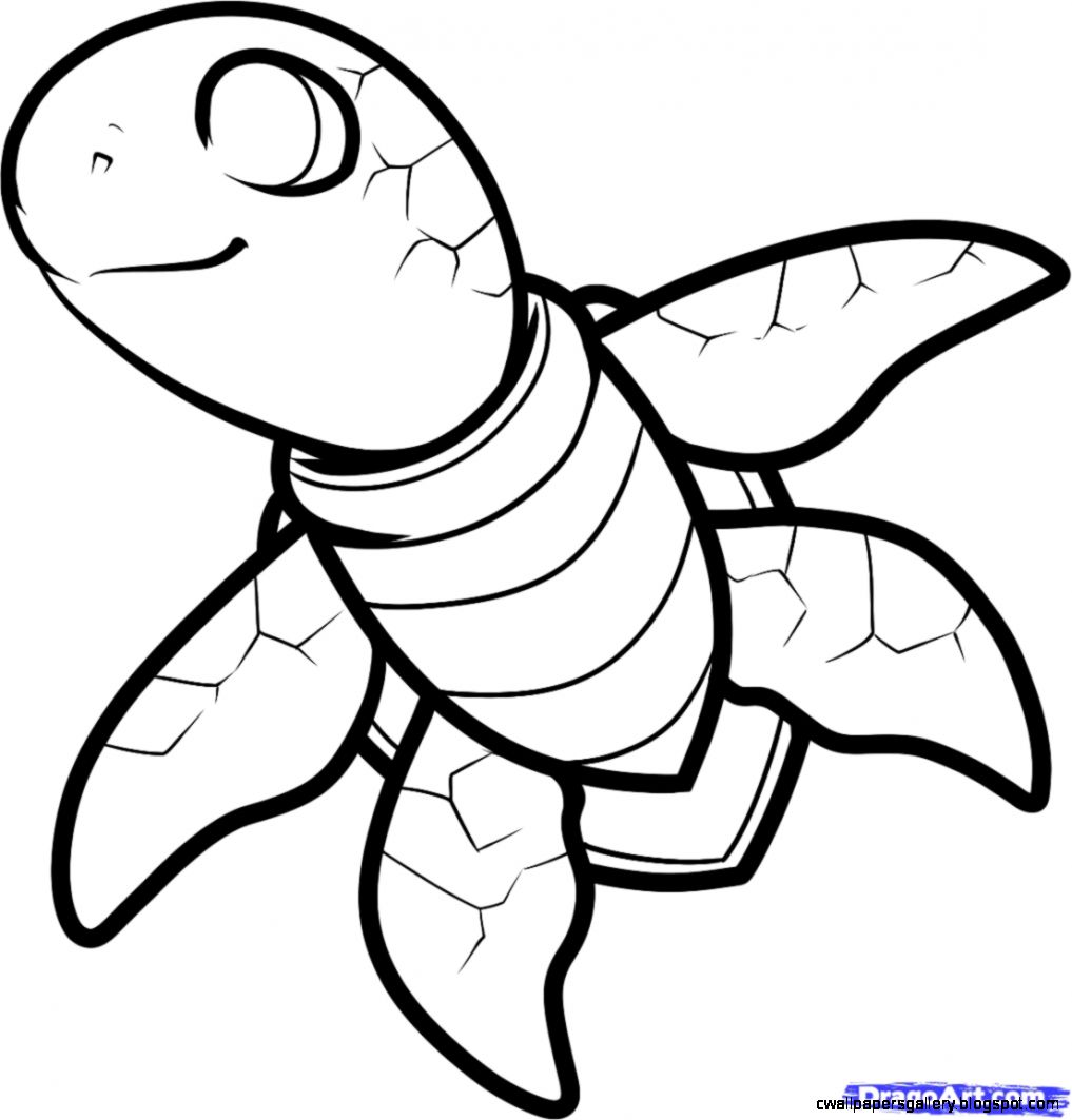 Baby Sea Turtle Drawing
