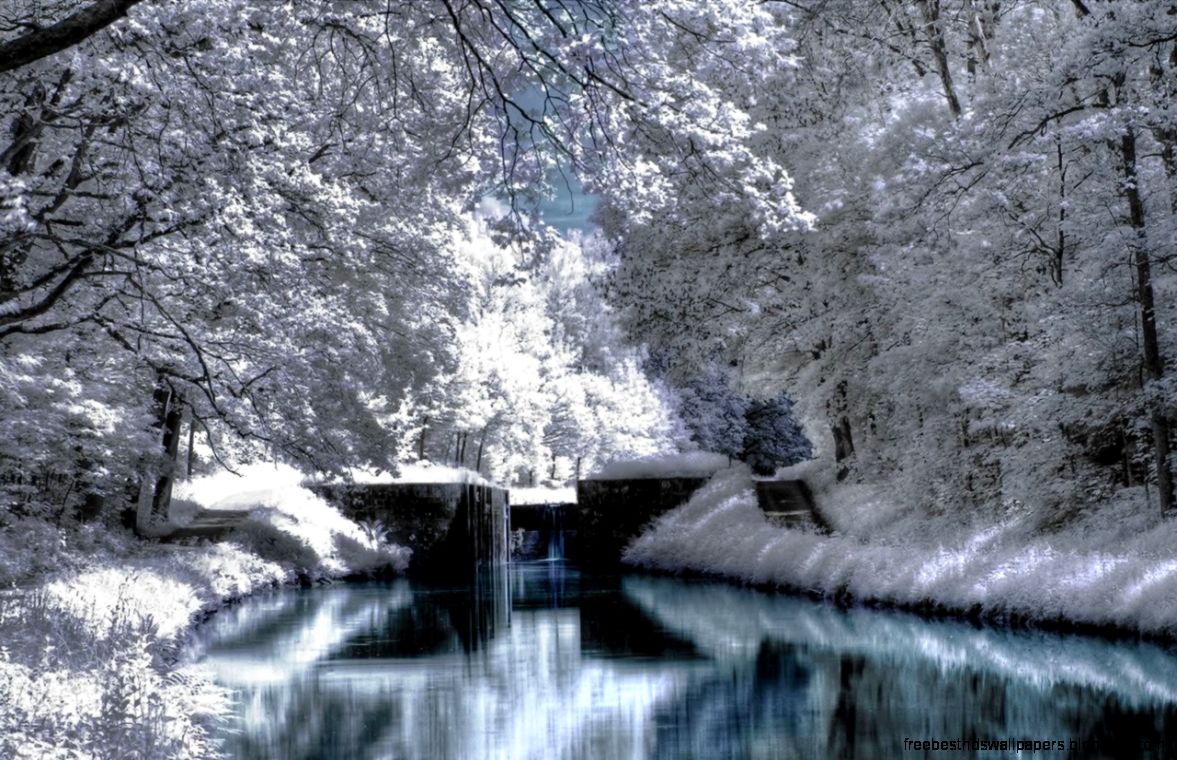 Beautiful Winter Scenery Hd Wallpapers Beautiful Winter Scenery Hd Wallpapers