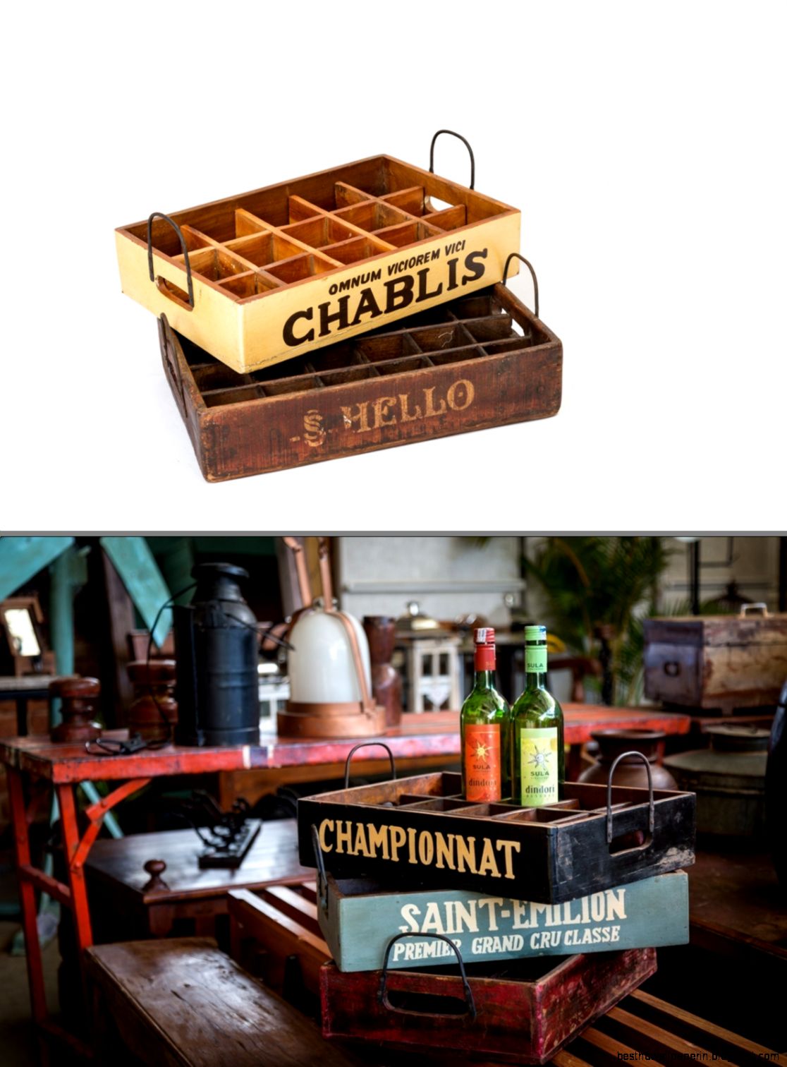 9 Products From The Purple Turtles To Inject Magic Into Your 9 Products From The Purple Turtles To Inject Magic Into Your