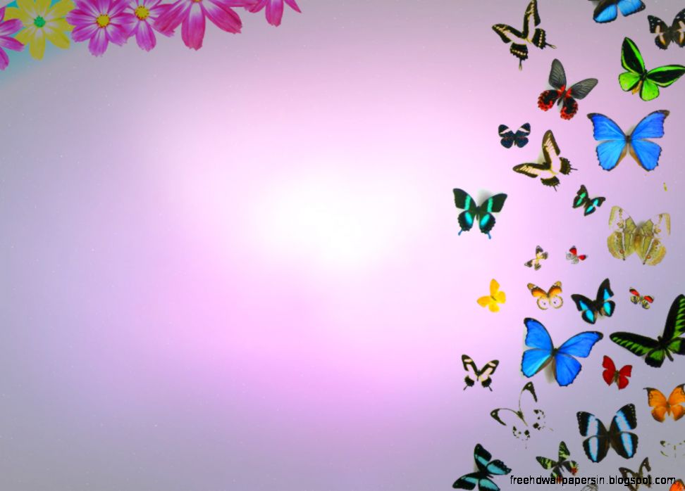 Free Flower PowerPoint BackgroundsWallpapers Download PPT Free Flower PowerPoint BackgroundsWallpapers Download PPT