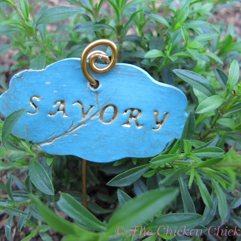 DIY Garden Markers using Polymer Clay The Chicken Chick®