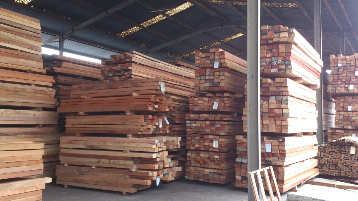 Semua Tentang Kayu Kayu Meranti