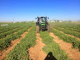 Amazone_UX4200trailedfield_sprayer