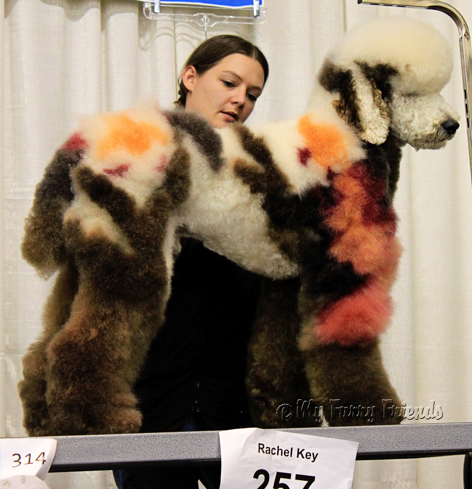 Pet Grooming The Good, The Bad, & The Furry Hershey Creative Grooming