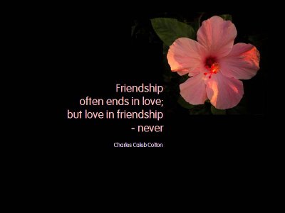 friendship quotes collage. JUSTIN BIEBER QUOTES COLLAGE