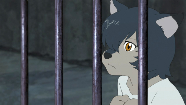 werewolf theory lore mythology history trials literature wolf form company