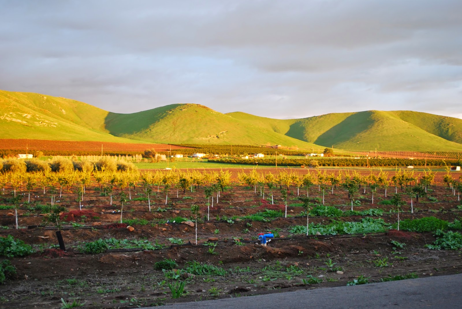 Morning stairs Shirley's Art House Causeway Bay, Hong Kong