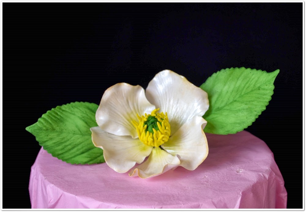 Lea's Cooking Gum Paste Recipe