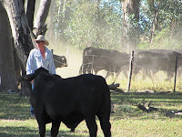 Real-life-cowboy.JPG