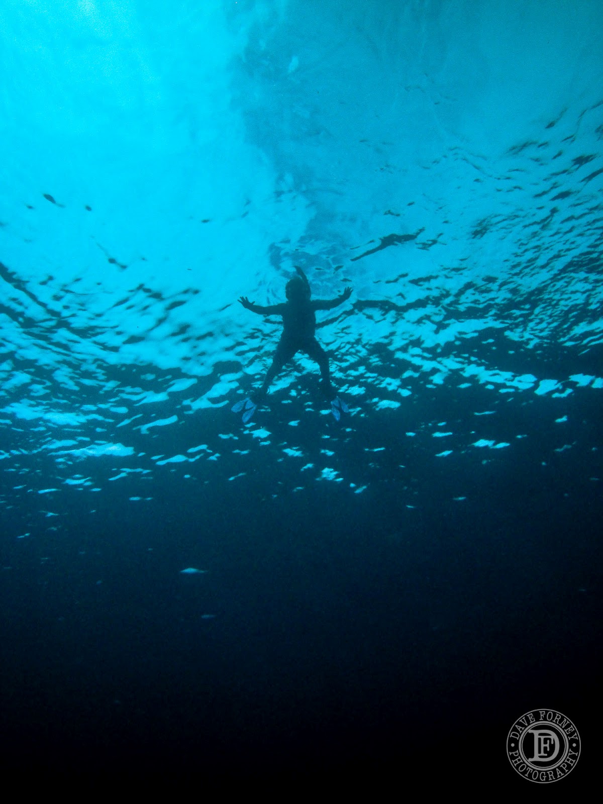 Dark Underwater
