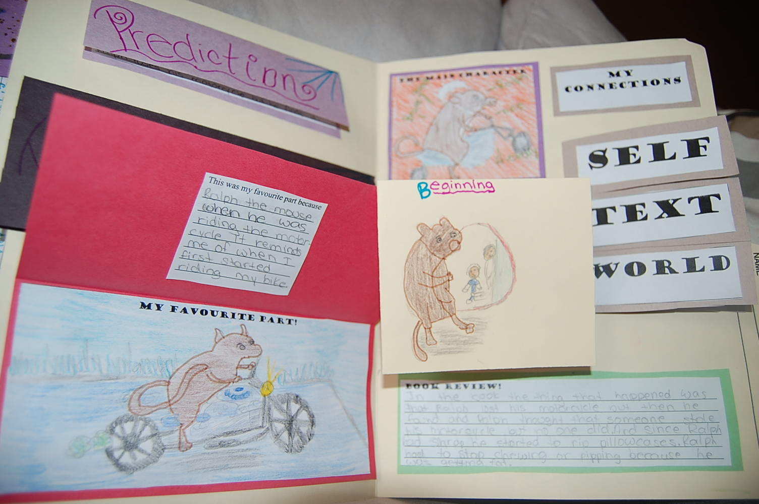 Thinking of Teaching Interactive Reading Portfolio (Freebie)