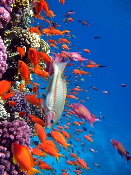 Multiverse Tales December 2012