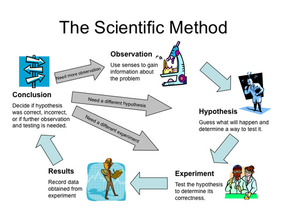 Steps of the scientific method quizlet