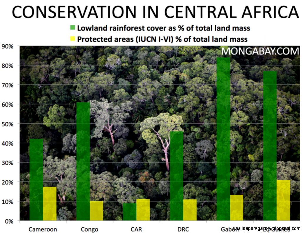 Congo Conservation Congo Conservation
