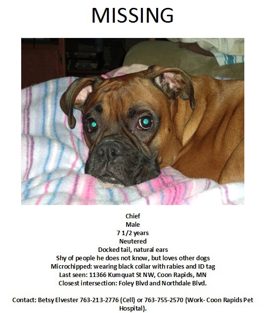 All God's Creatures ALERT >>> Missing/Lost BOXER >>> Coon Rapids, MN