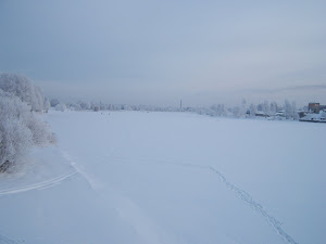 Talvine Pärnu