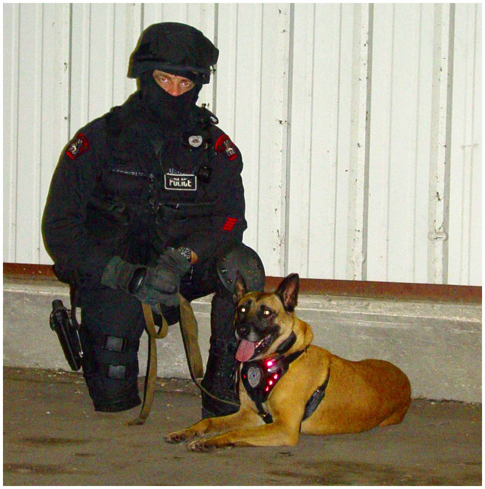 K911/17: LES MAITRES CHIENS DANS LA POLICE K911/17: LES MAITRES CHIENS DANS LA POLICE
