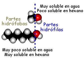 cadena carbonada solubilidad los alcoholes cadena carbonada solubilidad los alcoholes