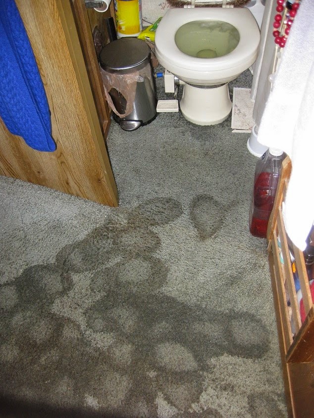 Every Campers Nightmare overflowing toilet Our RV Life