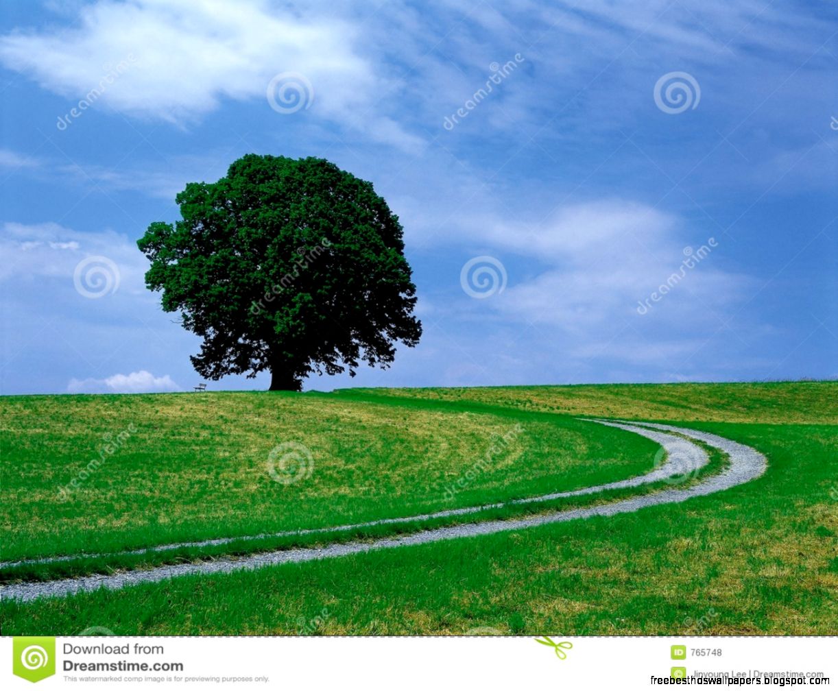Scenery Of Nature Royalty Free Stock Photos Image 765748 Scenery Of Nature Royalty Free Stock Photos Image 765748