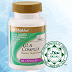Manfaat GLA Shaklee thumbnail