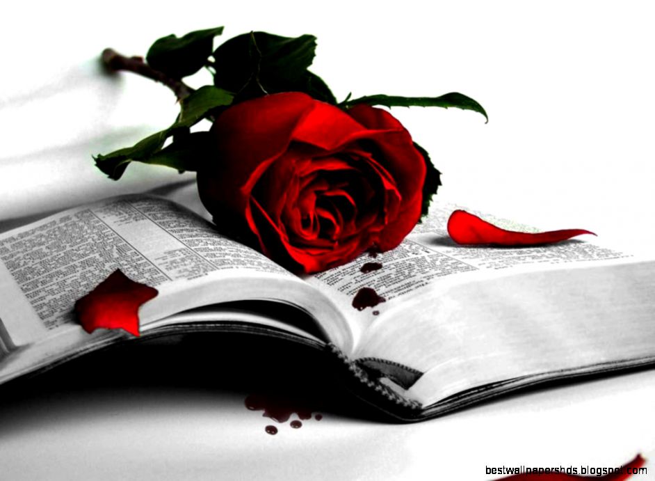Rose Day Greeting Images and Wallpapers Rose Day Greeting Images and Wallpapers