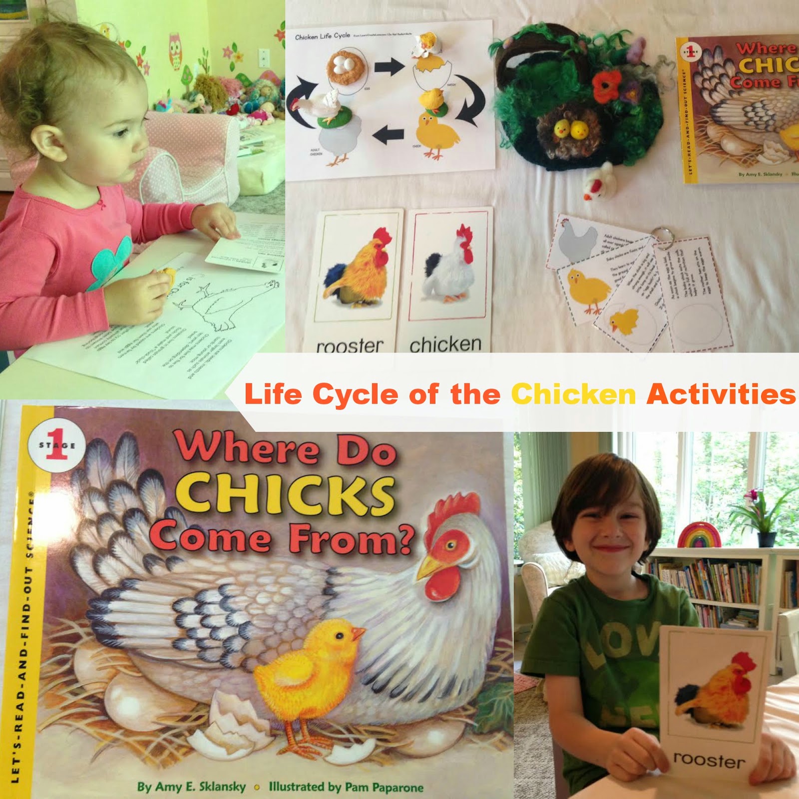 Life Cycle of a Chicken Activities with Egg Science for kids, This is a perfect homeschooling unit study for spring, Add these Spring activities to your kids daily schedule, Montessori learning Printables and activities 