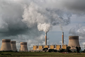 pencemaran udara menyebabkan hilangnya keanekaragaman hayati