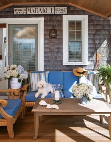 dog on porch furniture