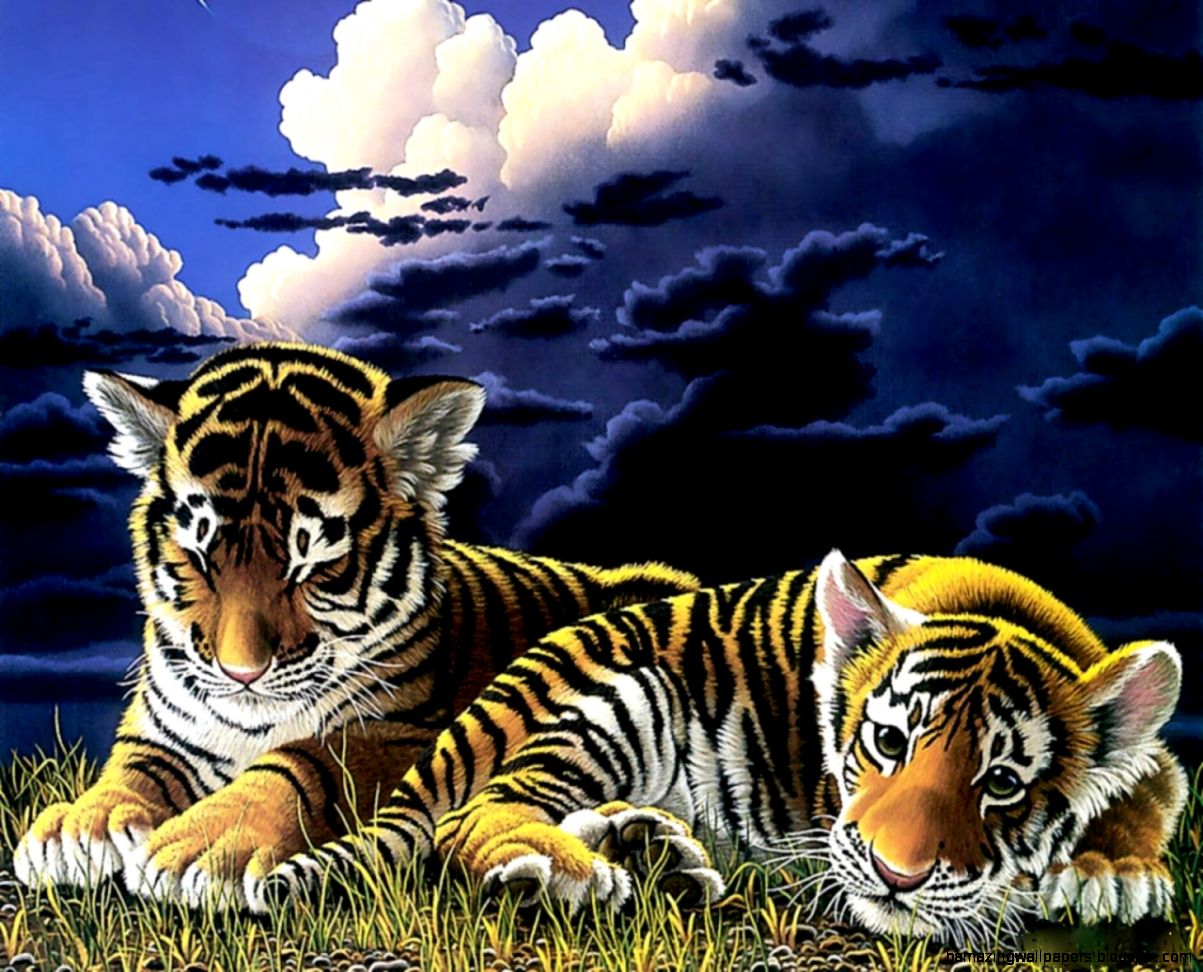 Baby Tigers HD Wallpapers HD Wallpapers Inn Baby Tigers HD Wallpapers HD Wallpapers Inn