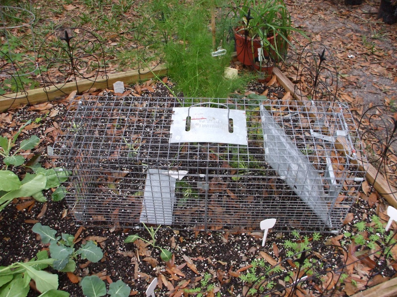 Orlando Realtor Look What I Caught.....