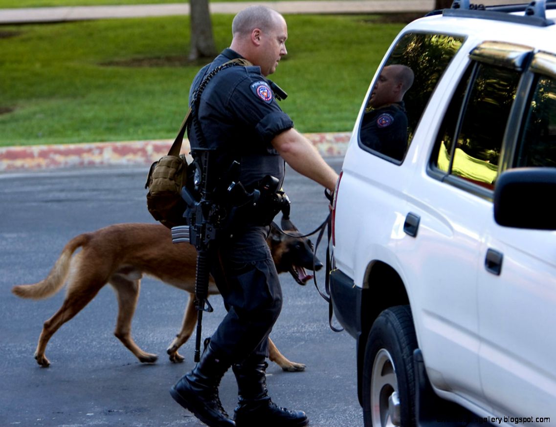 Warrantless Searches of Vehicles OK in PA Firebrand Central Warrantless Searches of Vehicles OK in PA Firebrand Central