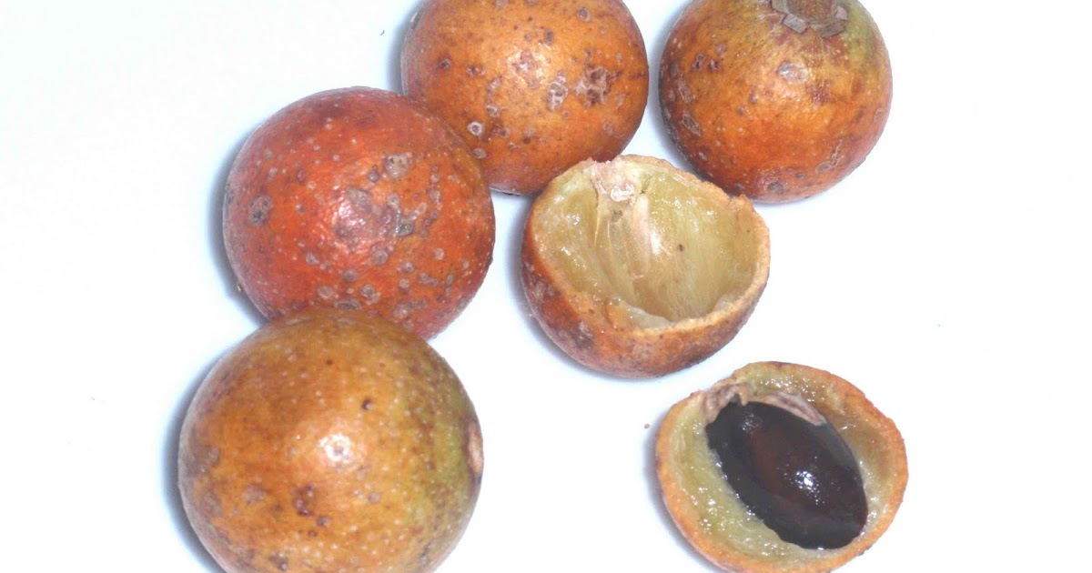 My Life in Gardens Adventures With Fruit