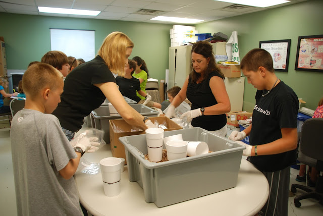 While I'm Waiting...Show & Tell Tuesday - summers at the food bank While I'm Waiting...Show & Tell Tuesday - summers at the food bank