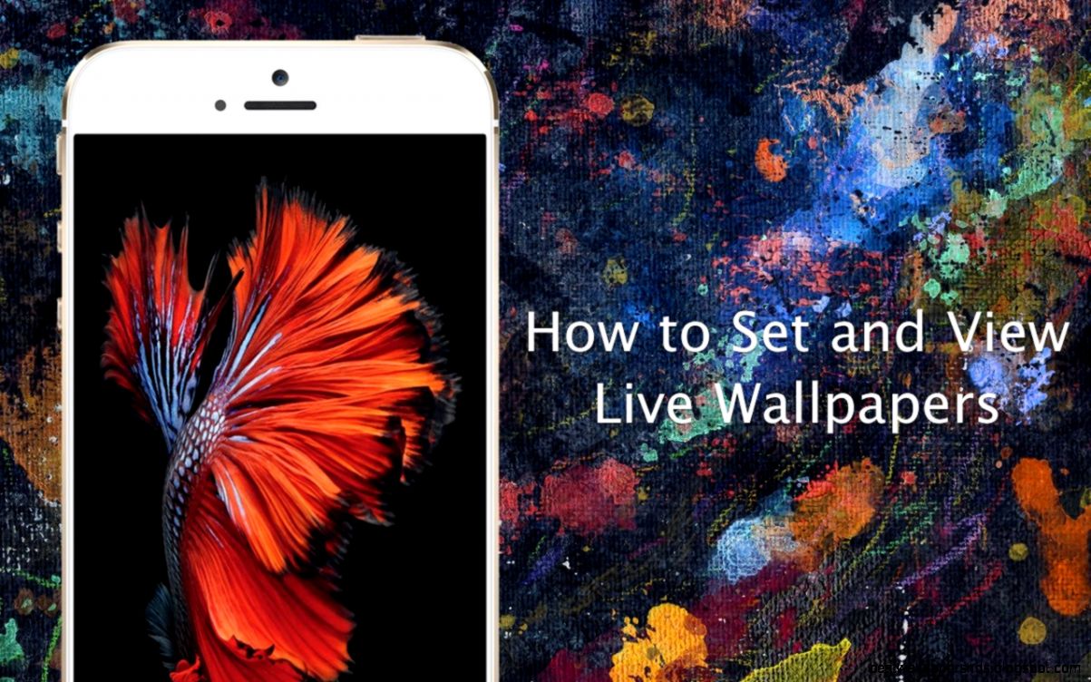 How to set Live Wallpapers on iPhone 6s and iPhone 6s Plus YouTube How to set Live Wallpapers on iPhone 6s and iPhone 6s Plus YouTube