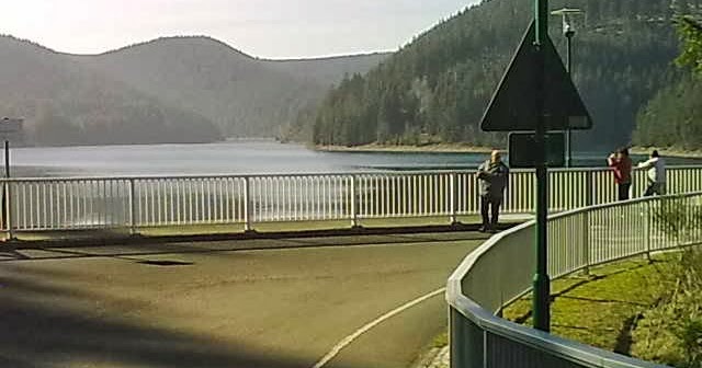 Naturpark Schoneberg Sudgelande